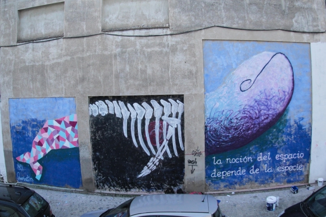 Wallspot - marinetiss - la noción del espacio depende de la especie - Barberà del Vallès - Carretera Barcelona - Graffity - Legal Walls - , 