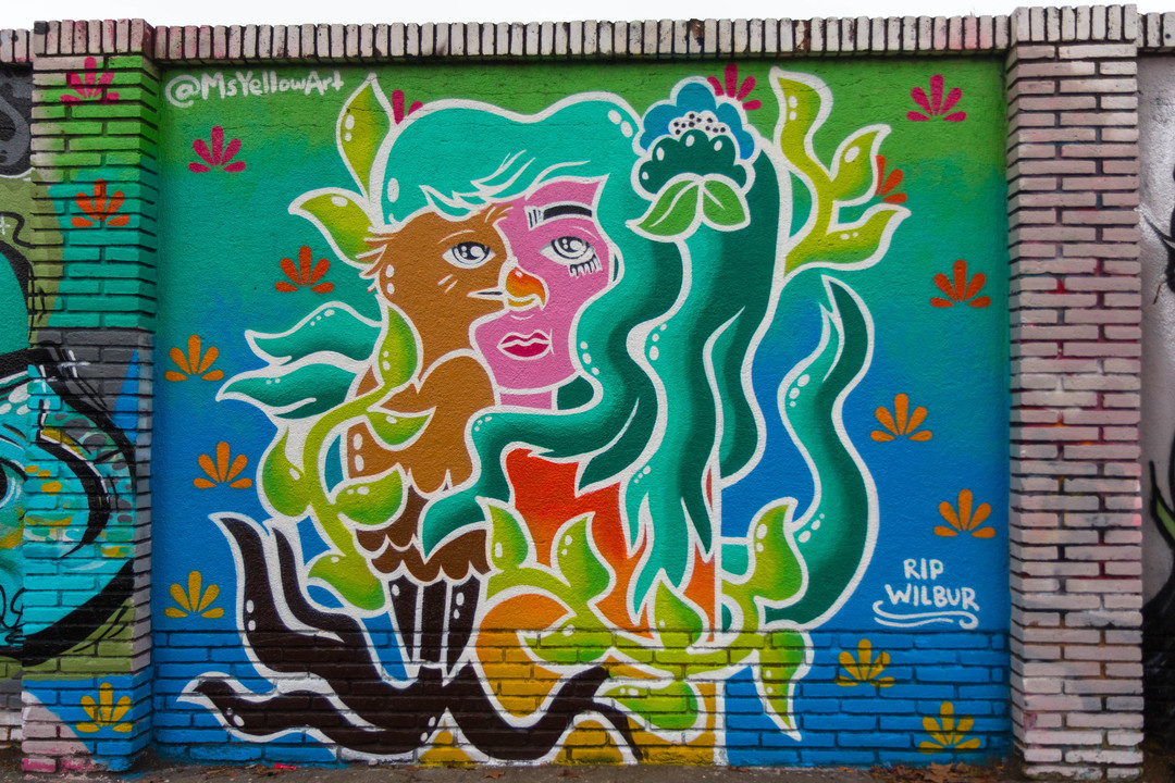 Wallspot - JOAN PIÑOL - JOAN PIÑOL - Projecte 07/03/2018 - Barcelona - Selva de Mar - Graffity - Legal Walls - Illustration