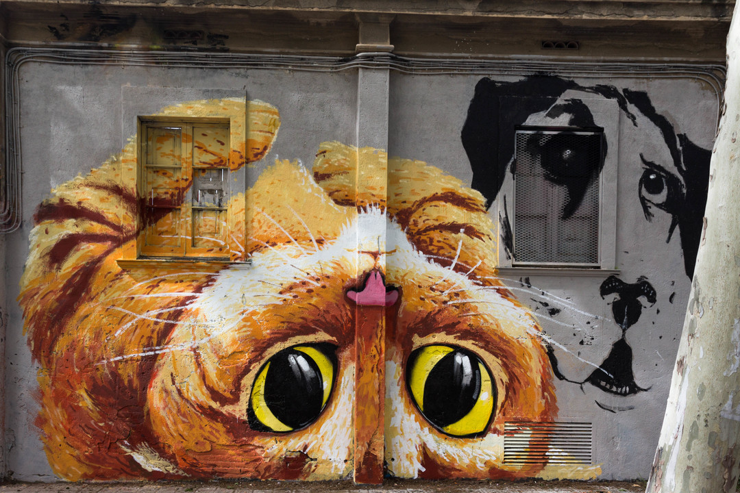 Wallspot - JOAN PIÑOL - JOAN PIÑOL - Projecte 25/04/2018 - Barcelona - Selva de Mar - Graffity - Legal Walls - Illustration - Artist - Manu