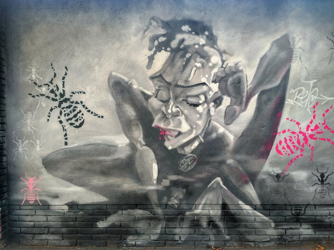 Wallspot - evalop - evalop - Proyecto 27/11/2018 - Barcelona - Selva de Mar - Graffity - Legal Walls - Illustration