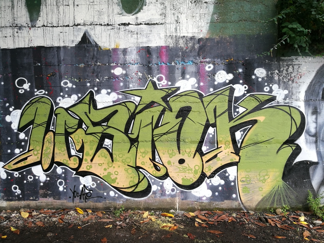 Wallspot - wsiok.DBR - Sunnybank Park / Throwupgallery - Aberdeen - Sunnybank Park - Graffity - Legal Walls - Letters