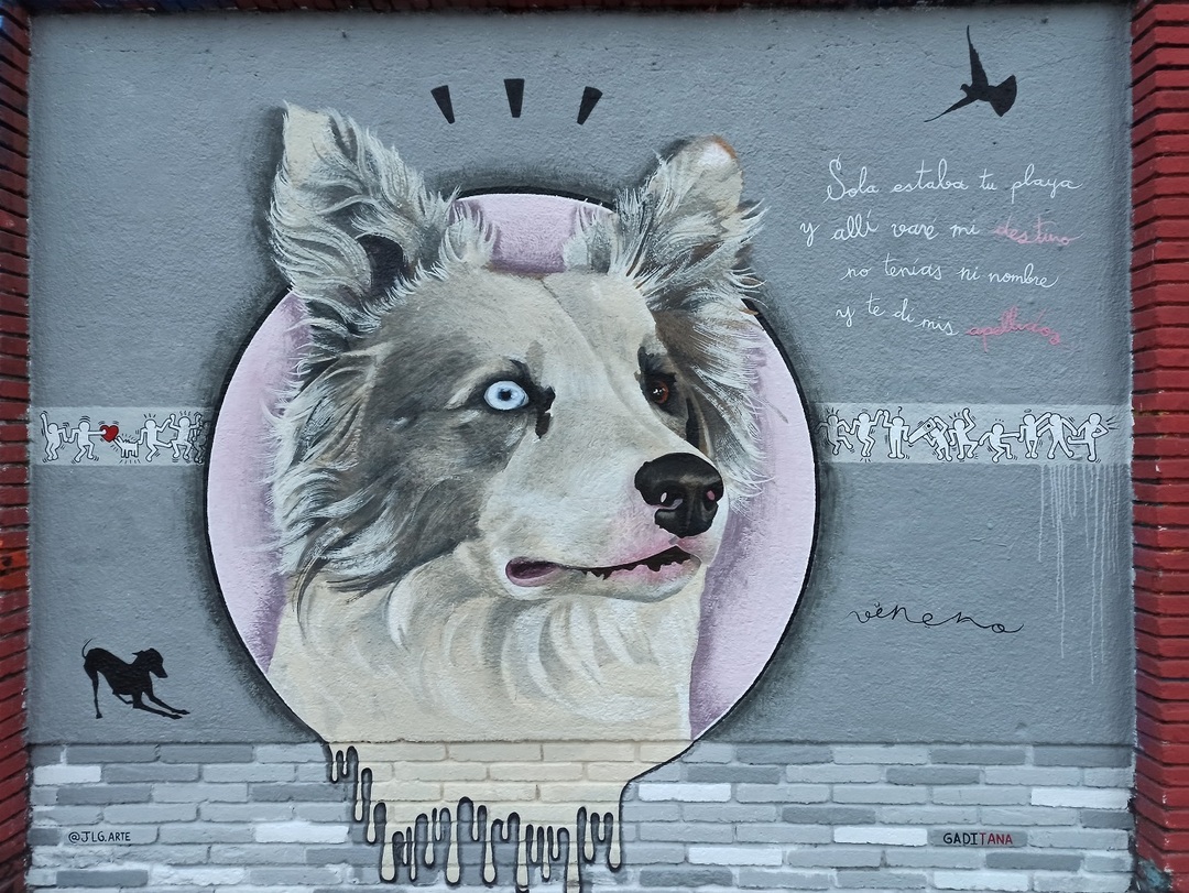 Wallspot - evalop - evalop - Project 28/12/2020 - Barcelona - Selva de Mar - Graffity - Legal Walls - Illustration - Artist - Jesus Lora gallego