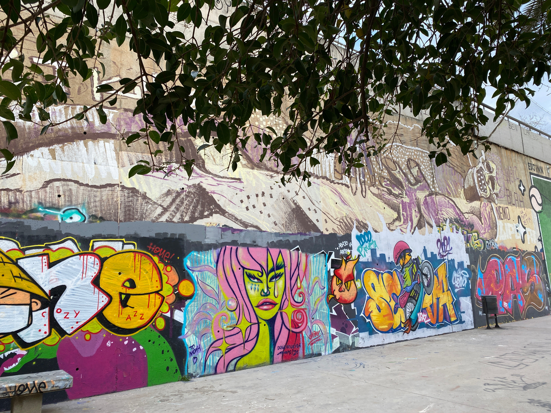 Wallspot - nirv_anna - Aigua. Vida. Dona - Barcelona - Skate Park les corts - Graffity - Legal Walls - Illustration