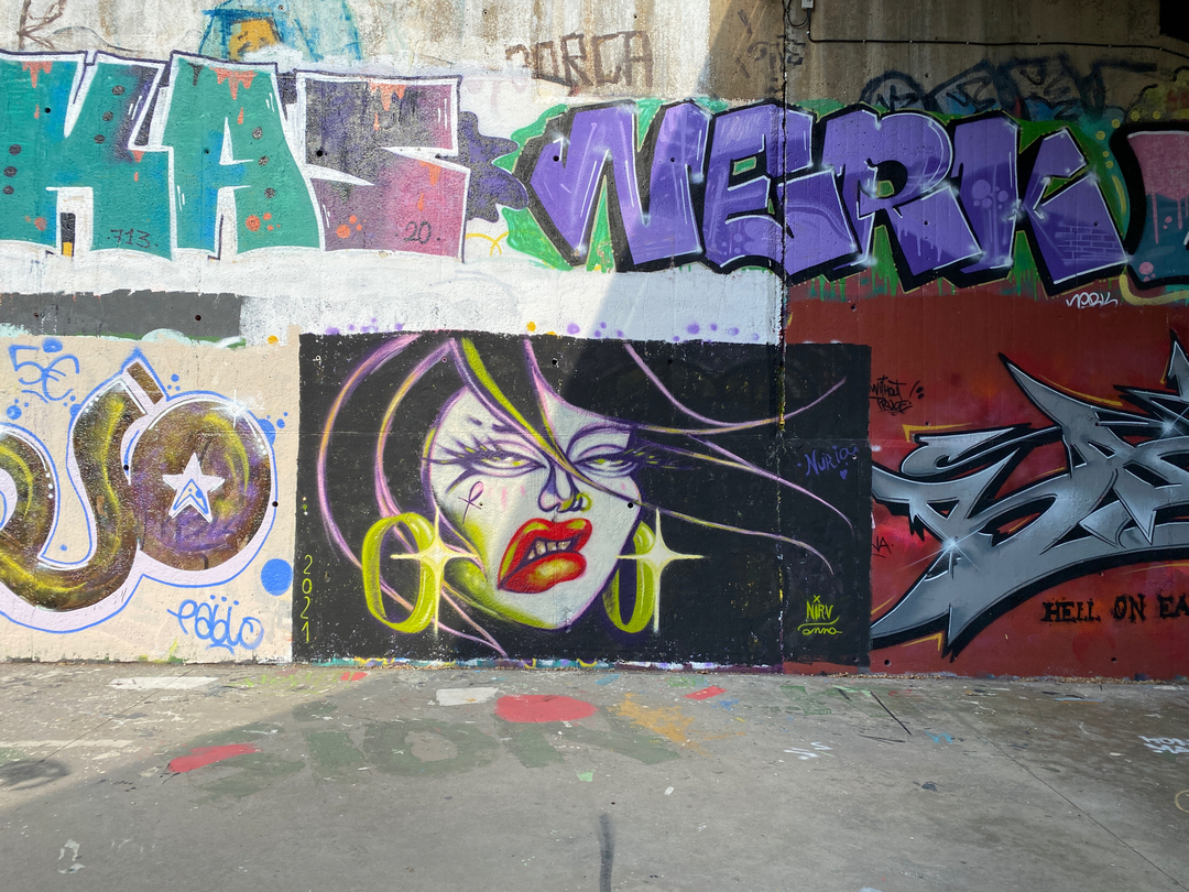 Wallspot - nirv_anna - Pharoah - Barcelona - Skate Park les corts - Graffity - Legal Walls - Illustration