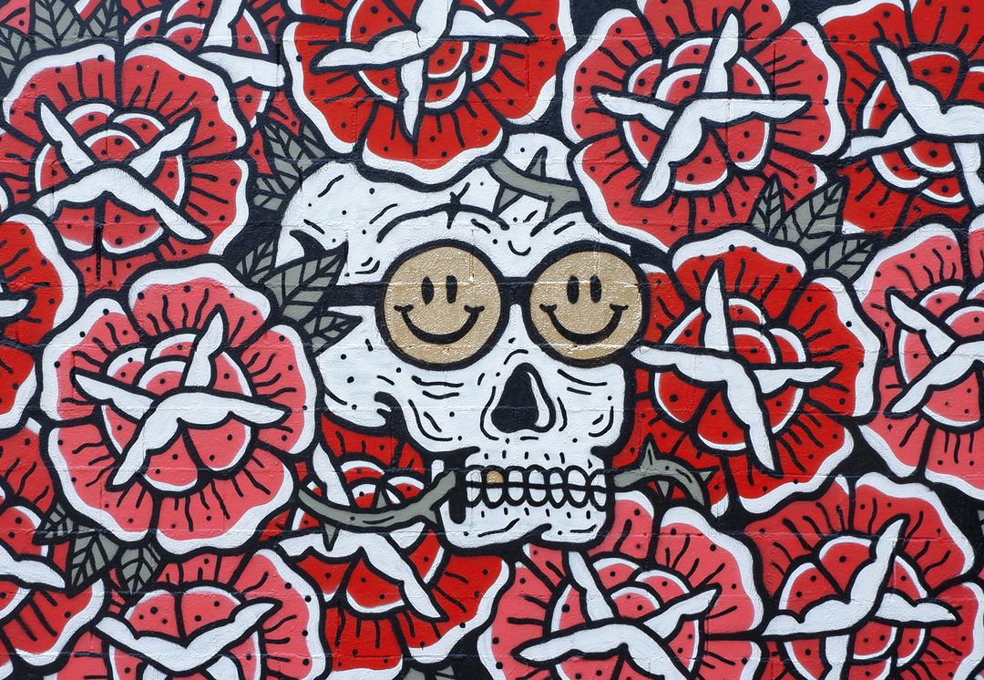 Wallspot - art3sano - Skull & Roses - Barcelona - Tres Xemeneies - Graffity - Legal Walls - Illustration