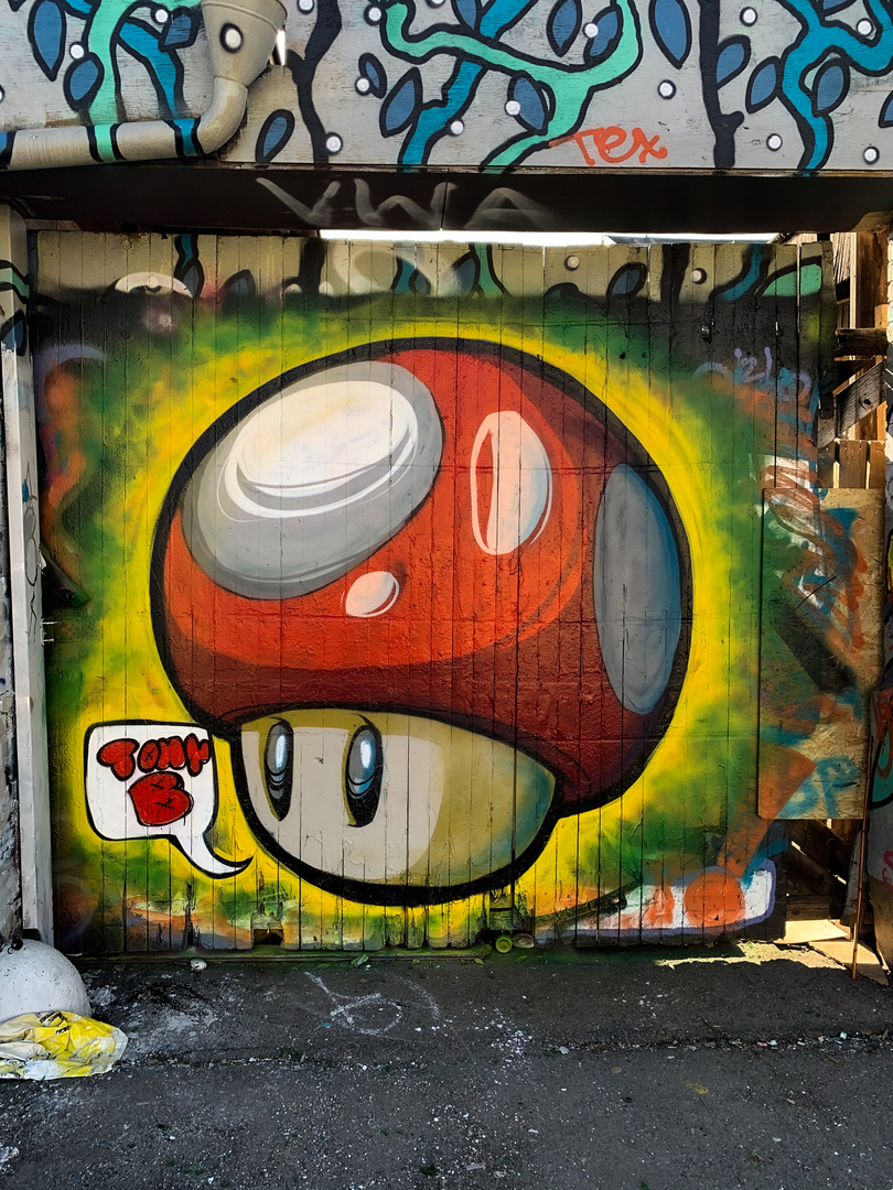 Wallspot - Tony-b - Mario toad  - Göteborg - Draken - Graffity - Legal Walls - Illustration