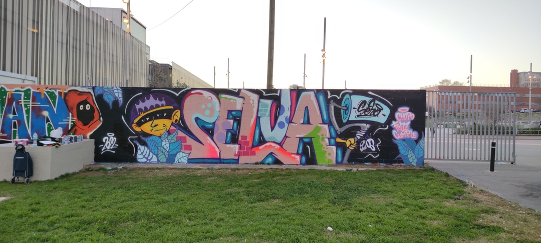 Wallspot - selva - Junglewuan - Barcelona - Parc de la Bederrida - Graffity - Legal Walls - Letras, Ilustración