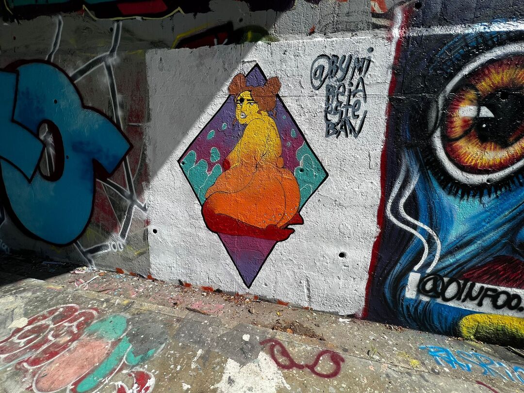 Wallspot - bymireiaesteban - LA REINA  - Barcelona - Skate Park les corts - Graffity - Legal Walls - 