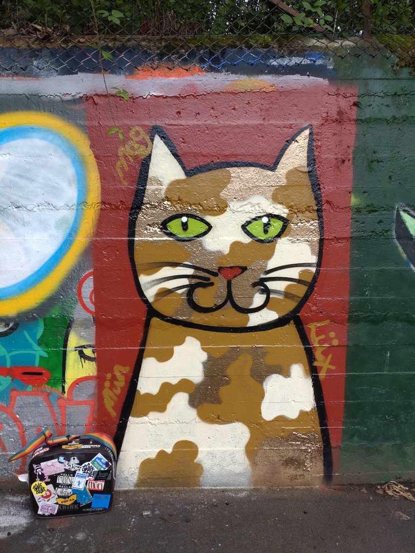 Wallspot - Lady Lux Art -  - Aberdeen - Sunnybank Park - Graffity - Legal Walls - 