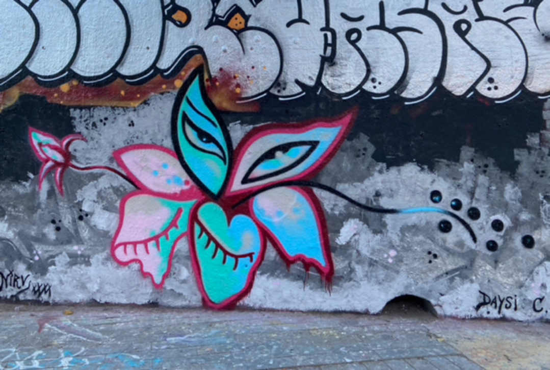 Wallspot - nirv_anna - nirv_anna + daysi - Barcelona - Tres Xemeneies - Graffity - Legal Walls - Illustration