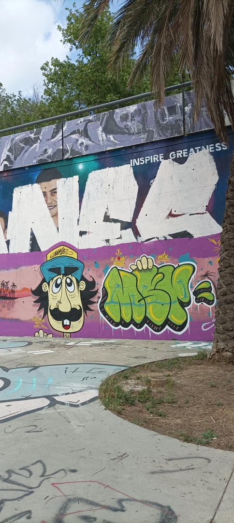 Wallspot - MSR -  - Barcelona - Skate Park les corts - Graffity - Legal Walls - 