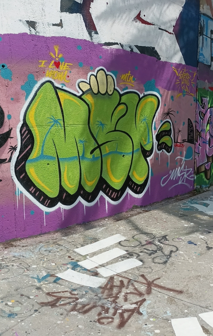 Wallspot - MSR -  - Barcelona - Skate Park les corts - Graffity - Legal Walls - 