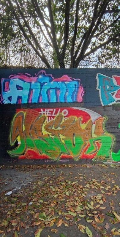 Wallspot - wsiok.DBR - Sunnybank Park - Aberdeen - Sunnybank Park - Graffity - Legal Walls - Illustration