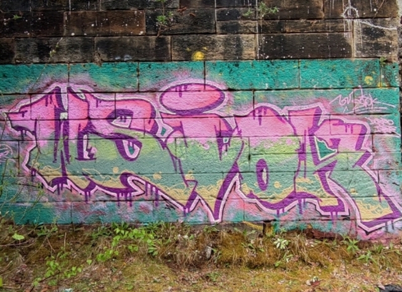 Wallspot - wsiok.DBR - Sunnybank Park - Aberdeen - Sunnybank Park - Graffity - Legal Walls - Letras