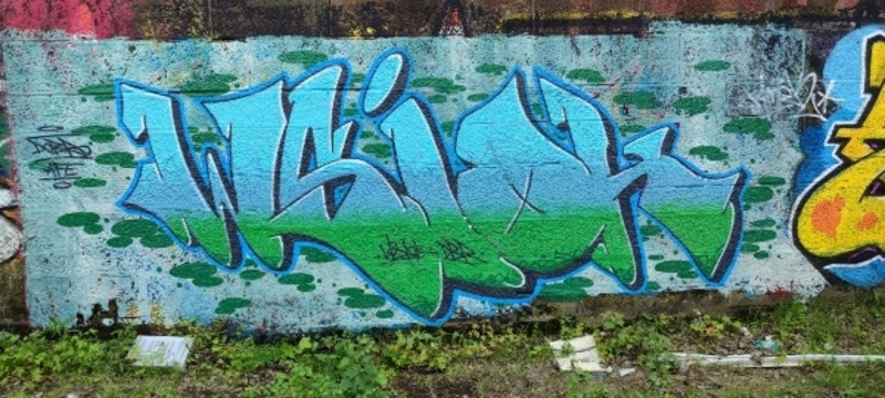 Wallspot - wsiok.DBR - Sunnybank Park - Aberdeen - Sunnybank Park - Graffity - Legal Walls - Letras