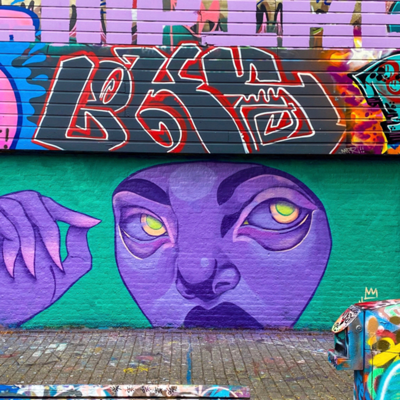 Wallspot - Naomi King 010 - purple is to intense  - Rotterdam - Croos - Graffity - Legal Walls - , 