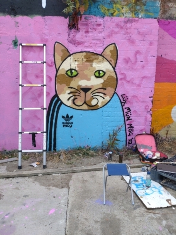 Wallspot - Lady Lux Art - Adidas Mog - Dundee - Mary Ann Lane - Graffity - Legal Walls - 
