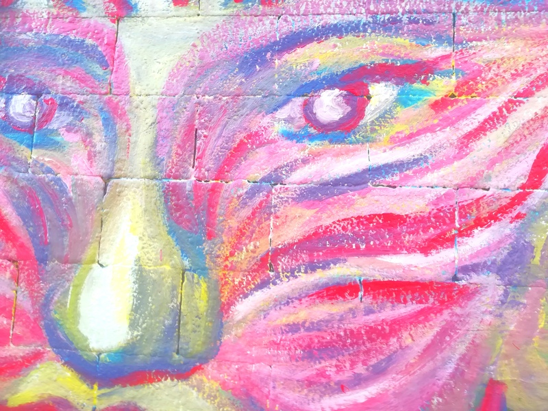 Wallspot - [MO] - MO11454 - De papallona a granota - Barcelona - Drassanes - Graffity - Legal Walls - Il·lustració