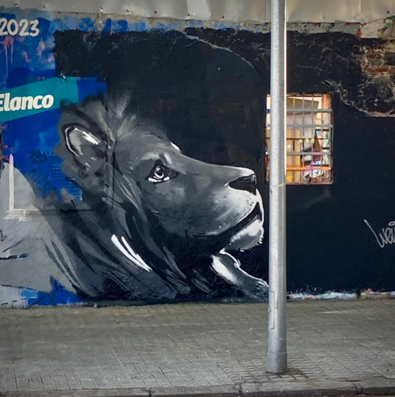 Wallspot - shade - look up - Barcelona - Western Town - Graffity - Legal Walls - Il·lustració