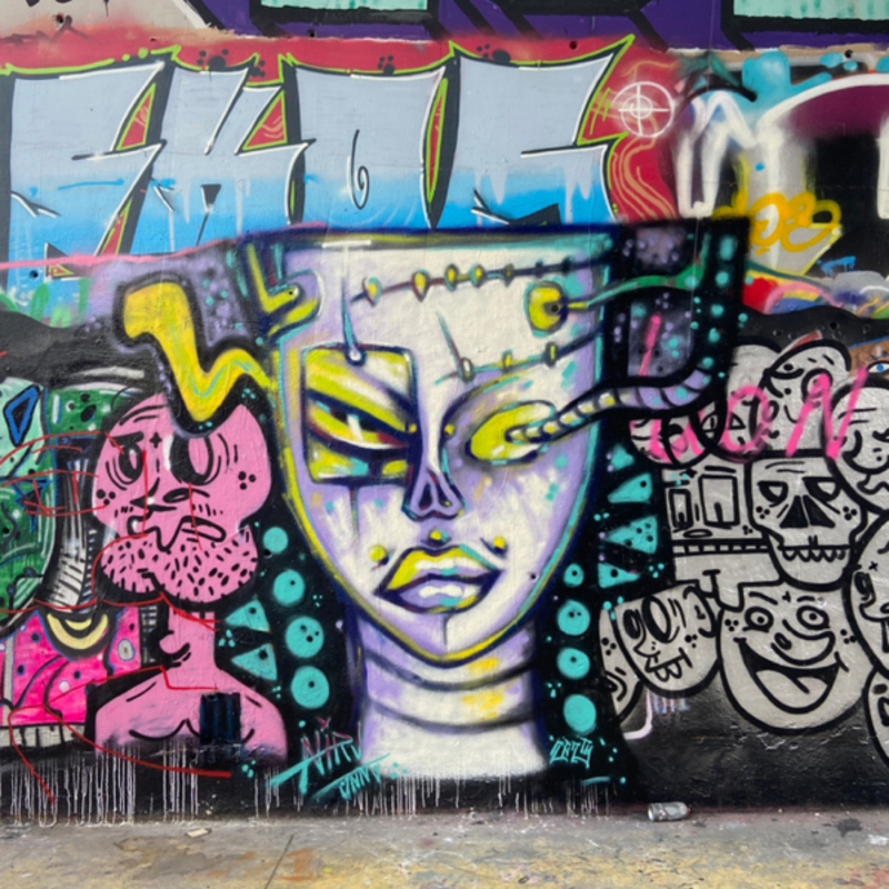 Wallspot - nirv_anna - Franki girl - Barcelona - Tres Xemeneies - Graffity - Legal Walls - Ilustración