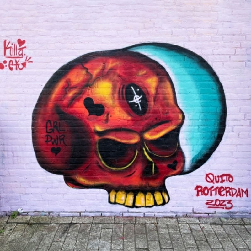 Wallspot - Killa.Ek - Skull - Rotterdam - Croos - Graffity - Legal Walls - Il·lustració