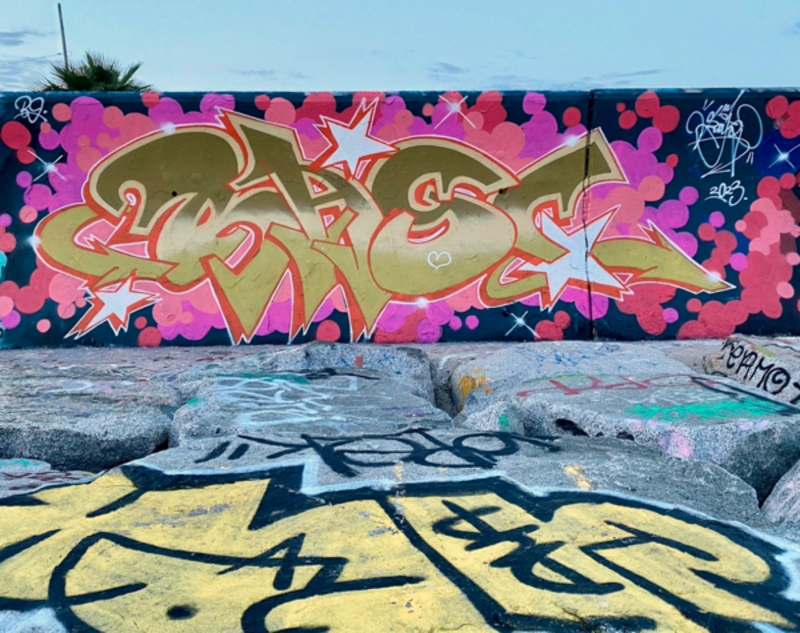 Wallspot - Reiska - Barcelona - Forum beach - Graffity - Legal Walls - 