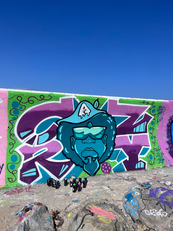 Wallspot - Crazy Larry - Barcelona - Forum beach - Graffity - Legal Walls - 