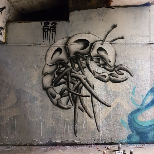 Wallspot - La.Kus - creature living in 22 - Ghent - Legale zone Keizerpark - Graffity - Legal Walls - Illustration